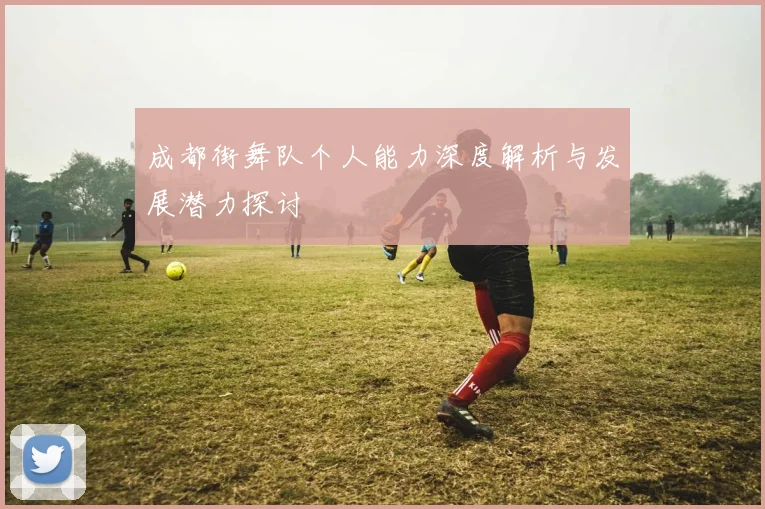 成都街舞队个人能力深度解析与发展潜力探讨