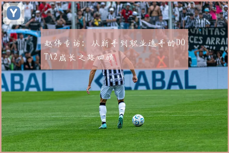 赵伟专访：从新手到职业选手的DOTA2成长之路回顾