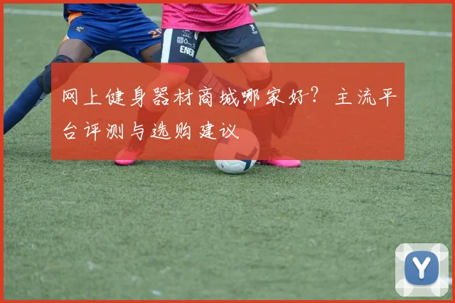 网上健身器材商城哪家好？主流平台评测与选购建议